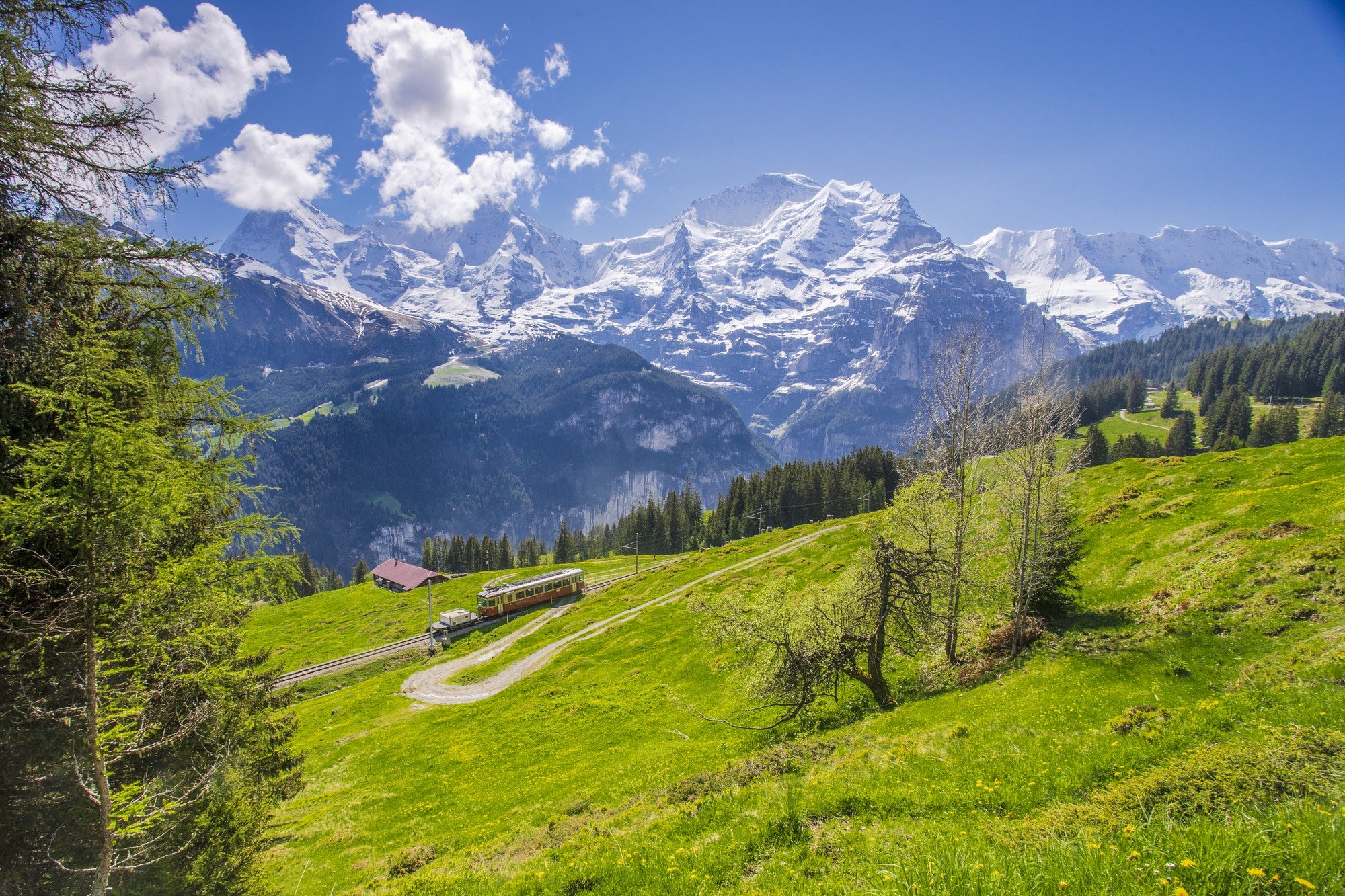 Pilatus Berg schneebedeckt mit Wiese im Vordergrund